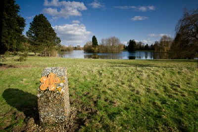 Lake in the distance