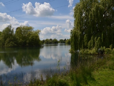 Reflections on the lake